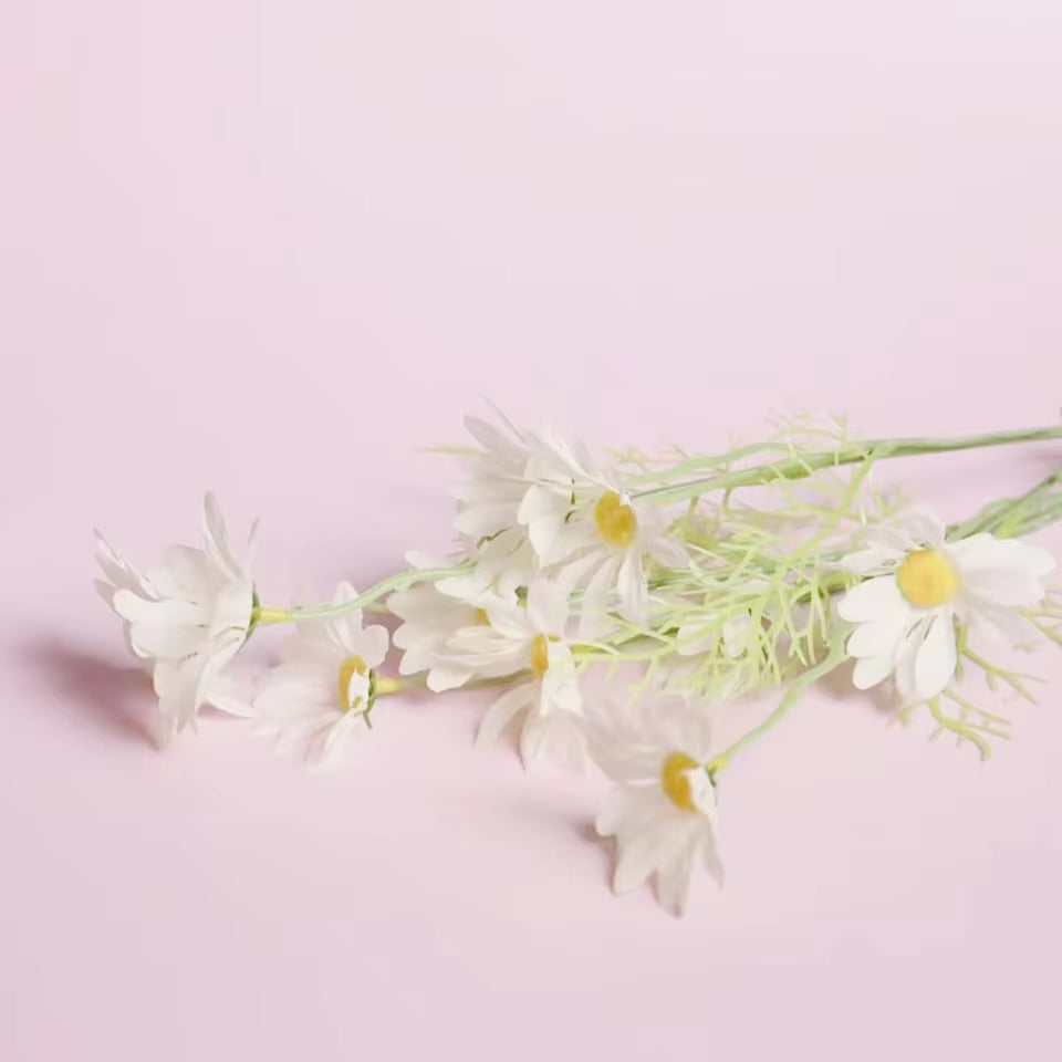 55×120cm Solid Matte PVC Waterproof White Photography Backdrop