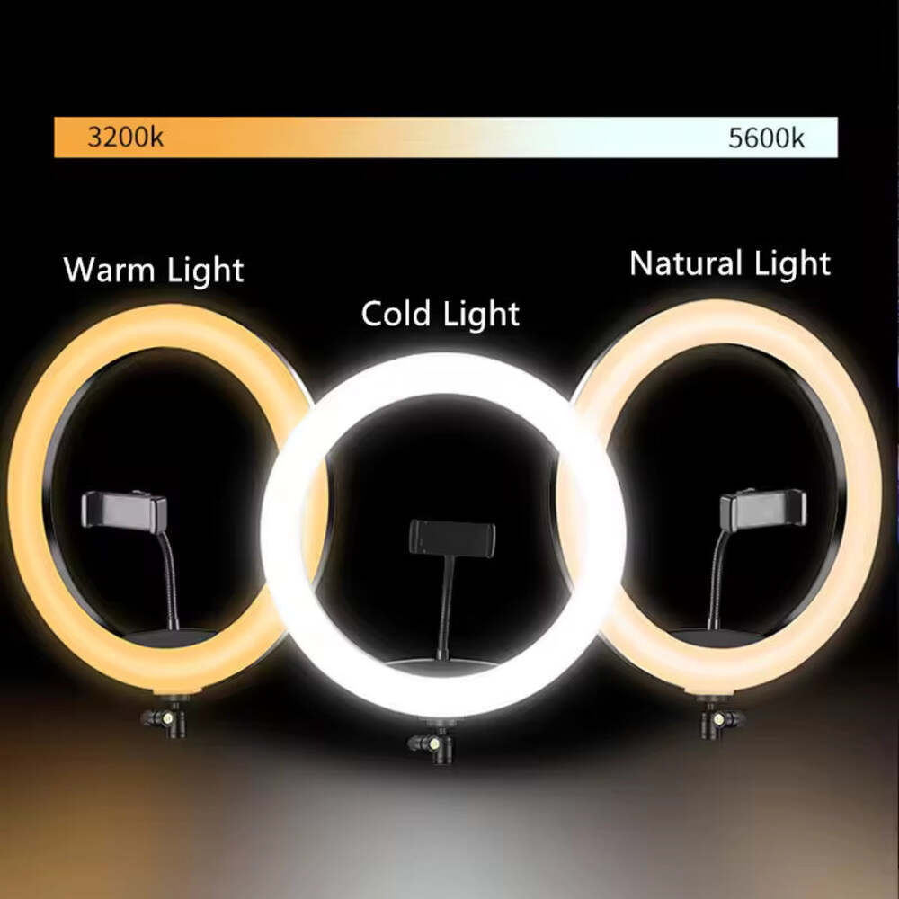 10/12 Inch LED Ring Light with Stand – Dimmable Selfie Fill Light for Makeup & Video
