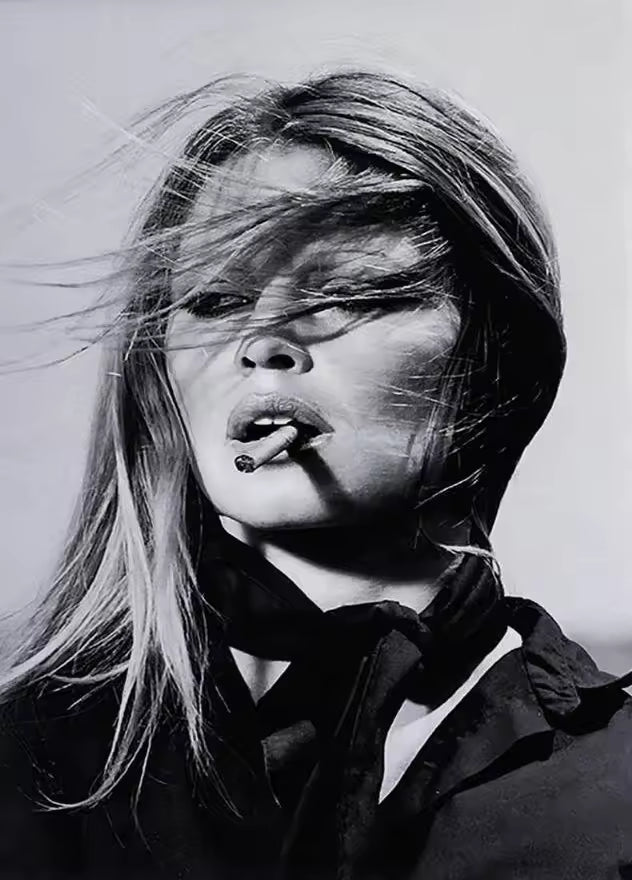 Retro Canvas Art Poster