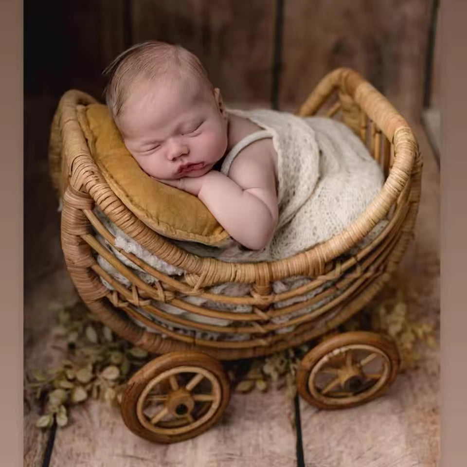 Original Baby Rattan Cart Basket Newborn Photography Prop